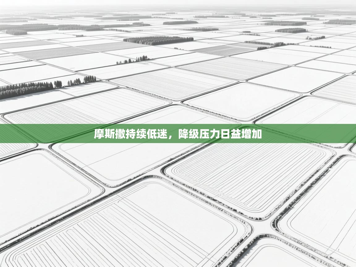 摩斯撒持续低迷,降级压力日益增加 第1张