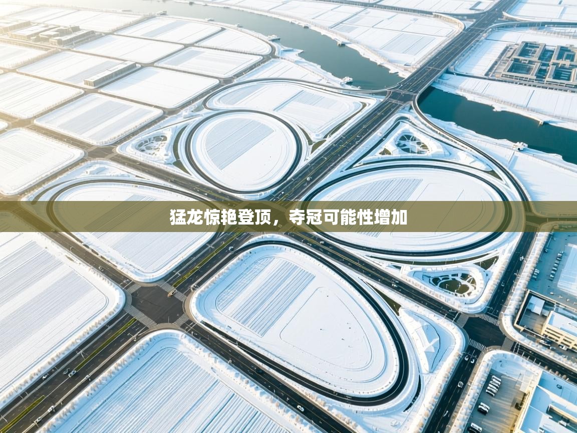 猛龙惊艳登顶，夺冠可能性增加