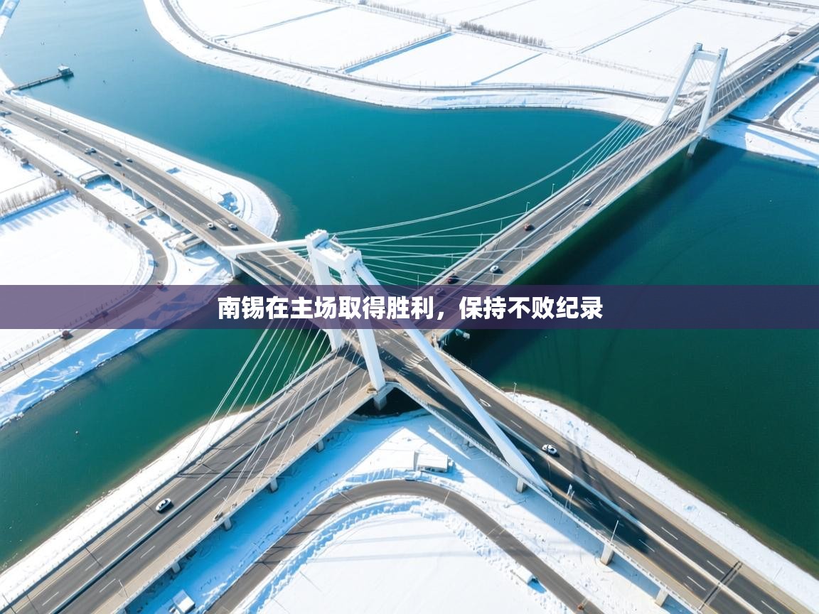 南锡在主场取得胜利,保持不败纪录 第1张