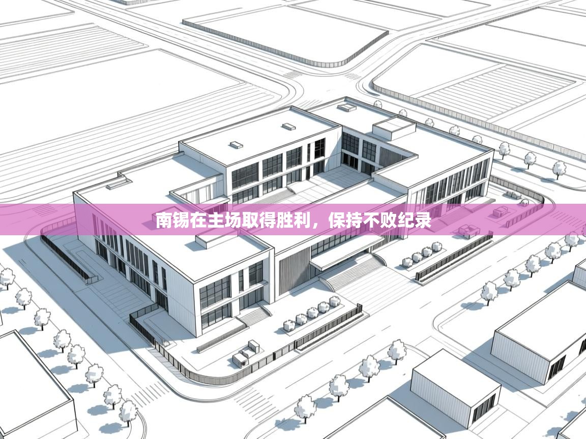 南锡在主场取得胜利,保持不败纪录 第2张