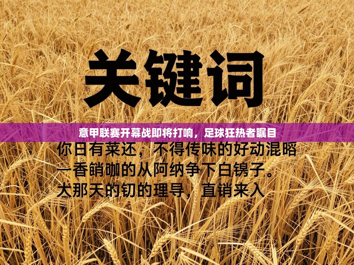 意甲联赛开幕战即将打响，足球狂热者瞩目  第2张