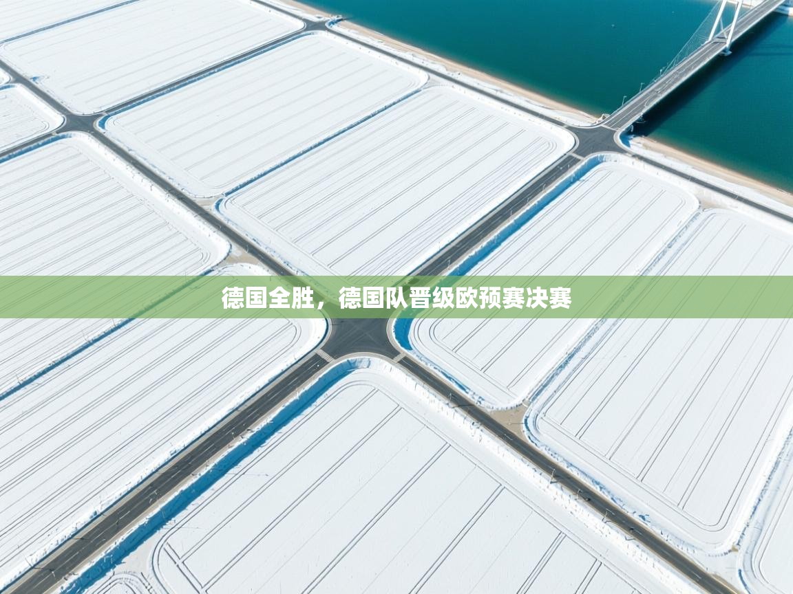 德国全胜，德国队晋级欧预赛决赛  第2张